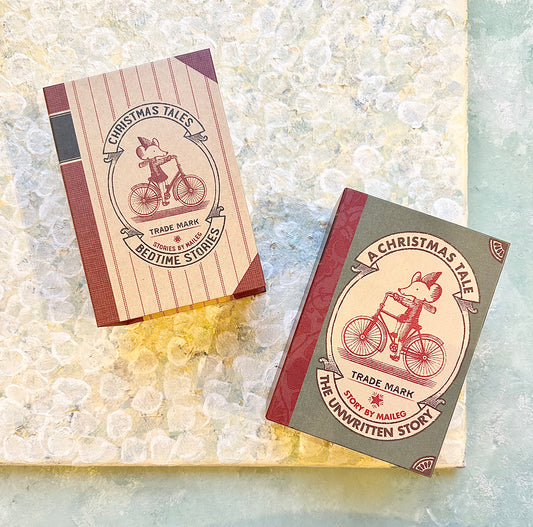 Christmas Big Brother in Bookcase - 2018