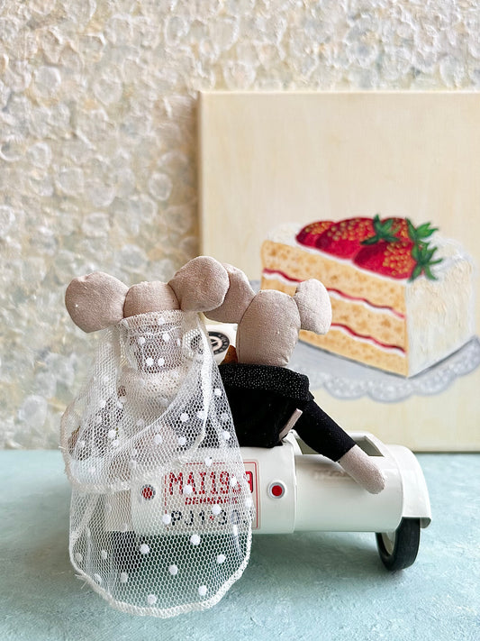 Scooter with Sidecar - 2015