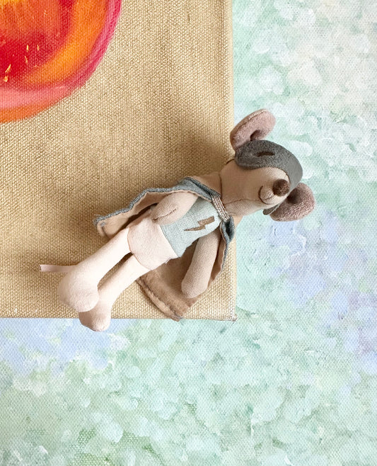 Super Hero in Suitcase - 2017