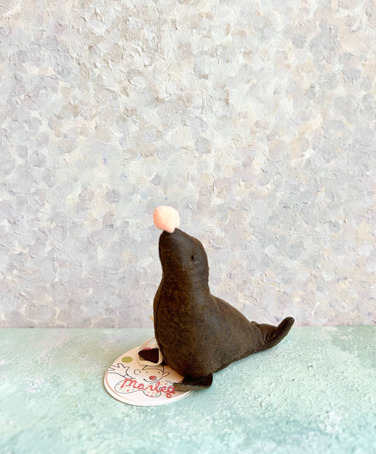 Circus Sea Lion - 2017