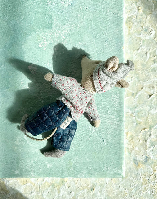 Winter Big Brother - 2014