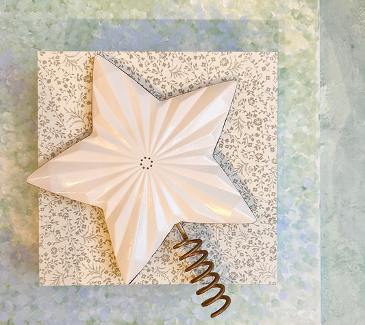 White Christmas Star for Tree - 2019