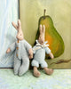 Baby Rabbit - 2005