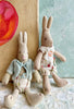 Baby Rabbit - 2010