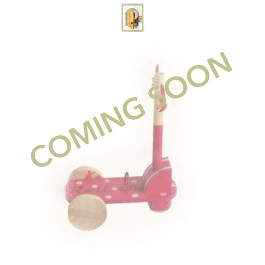 Mini Kickboard - 2014