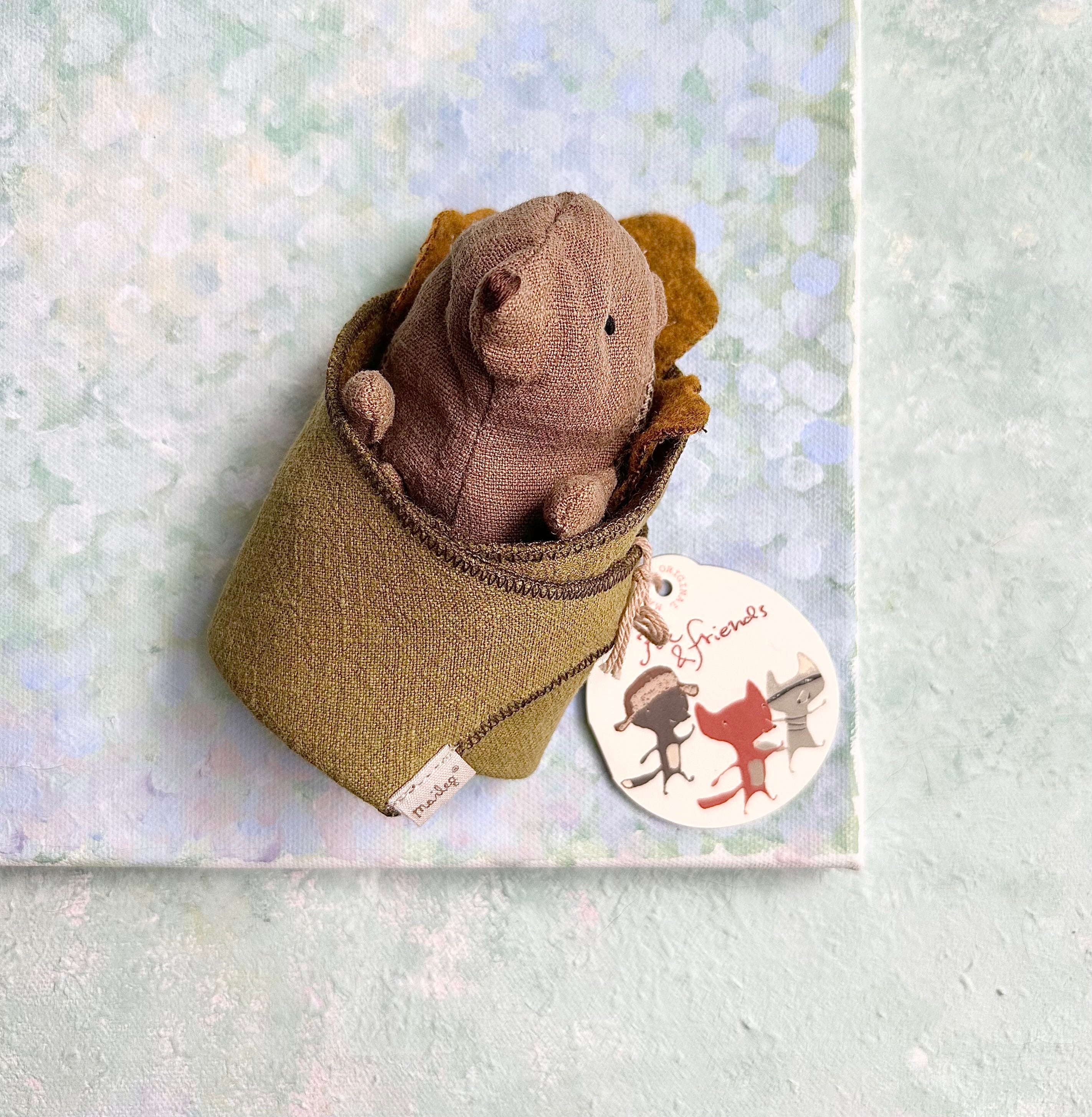 Baby Hedgehog in Leaf - 2016