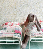 Mini Metal Bed - 2014