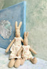 Small Bunny - 2009