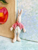 Baby Rabbit - 2009