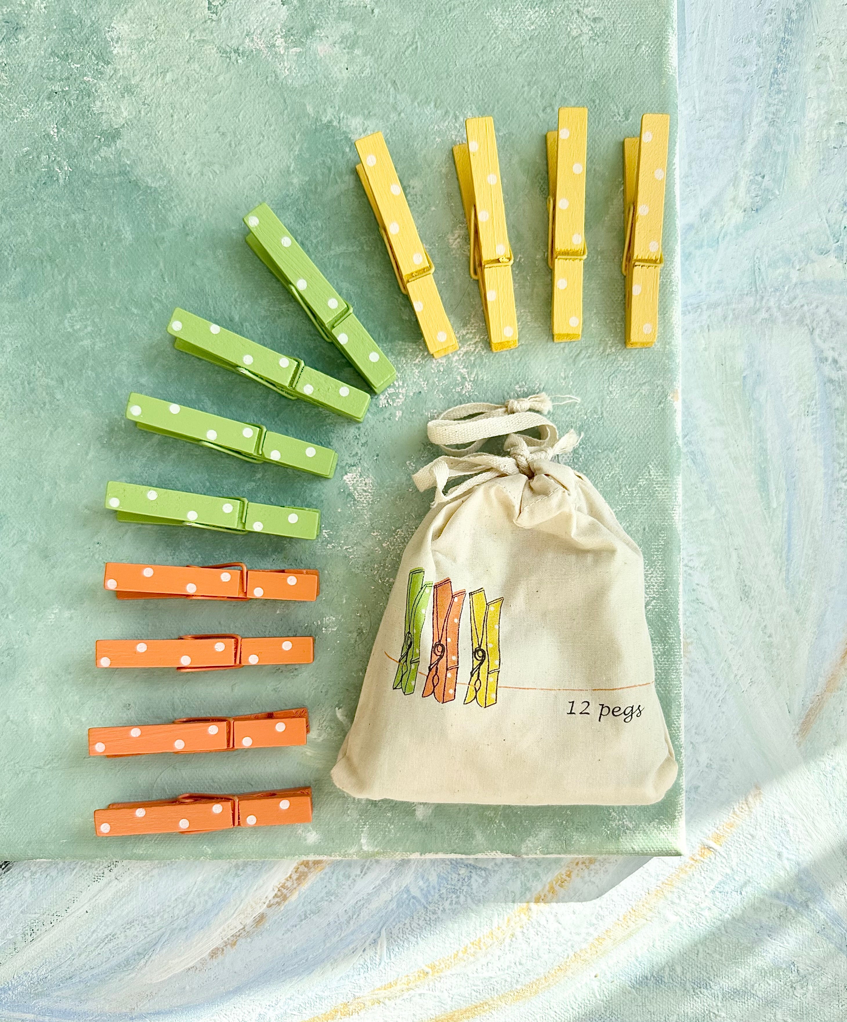 Spring Pegs in a Bag - 2012