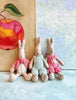 Baby Rabbit - 2009