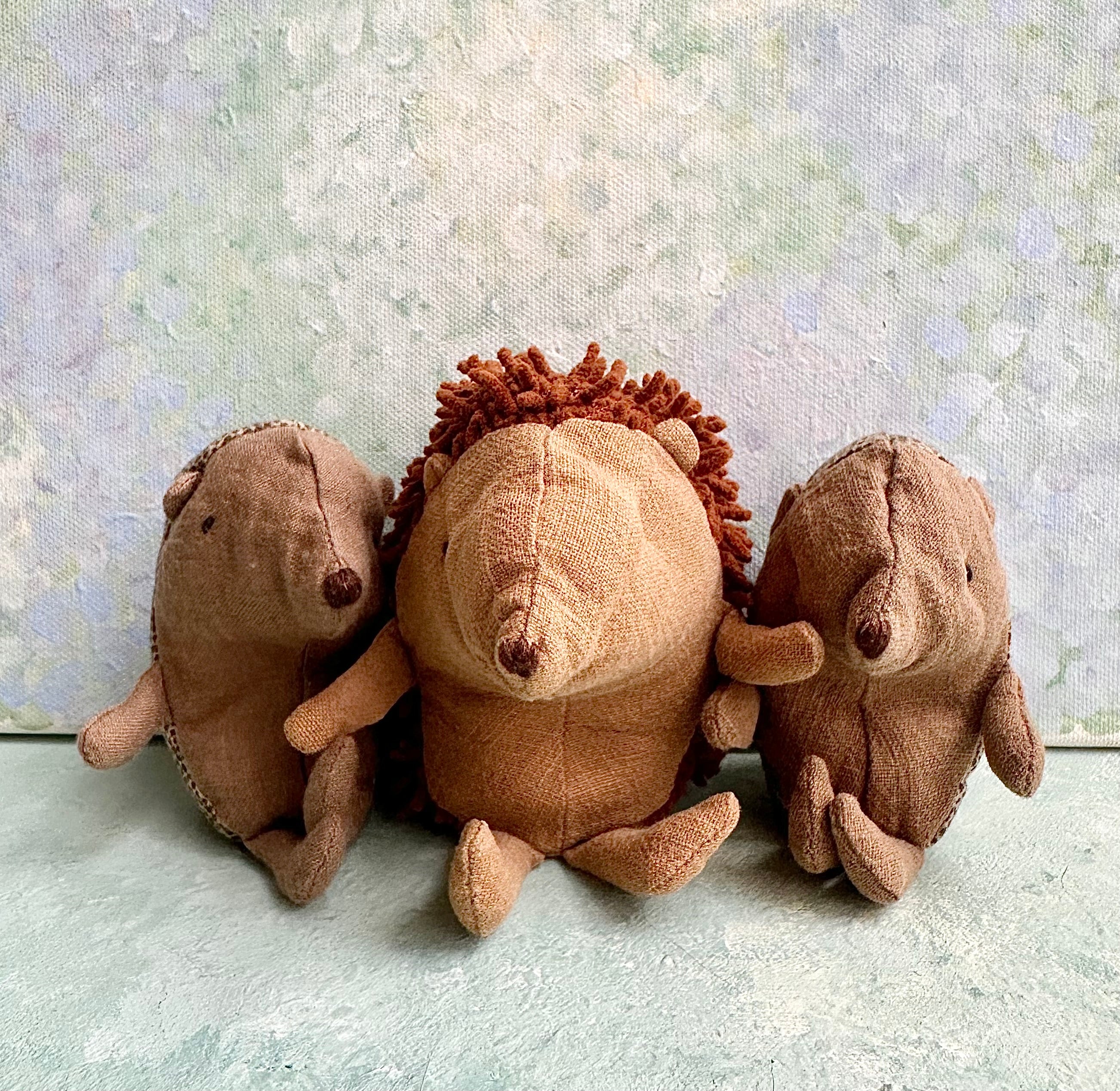 Baby Hedgehog in Leaf - 2016