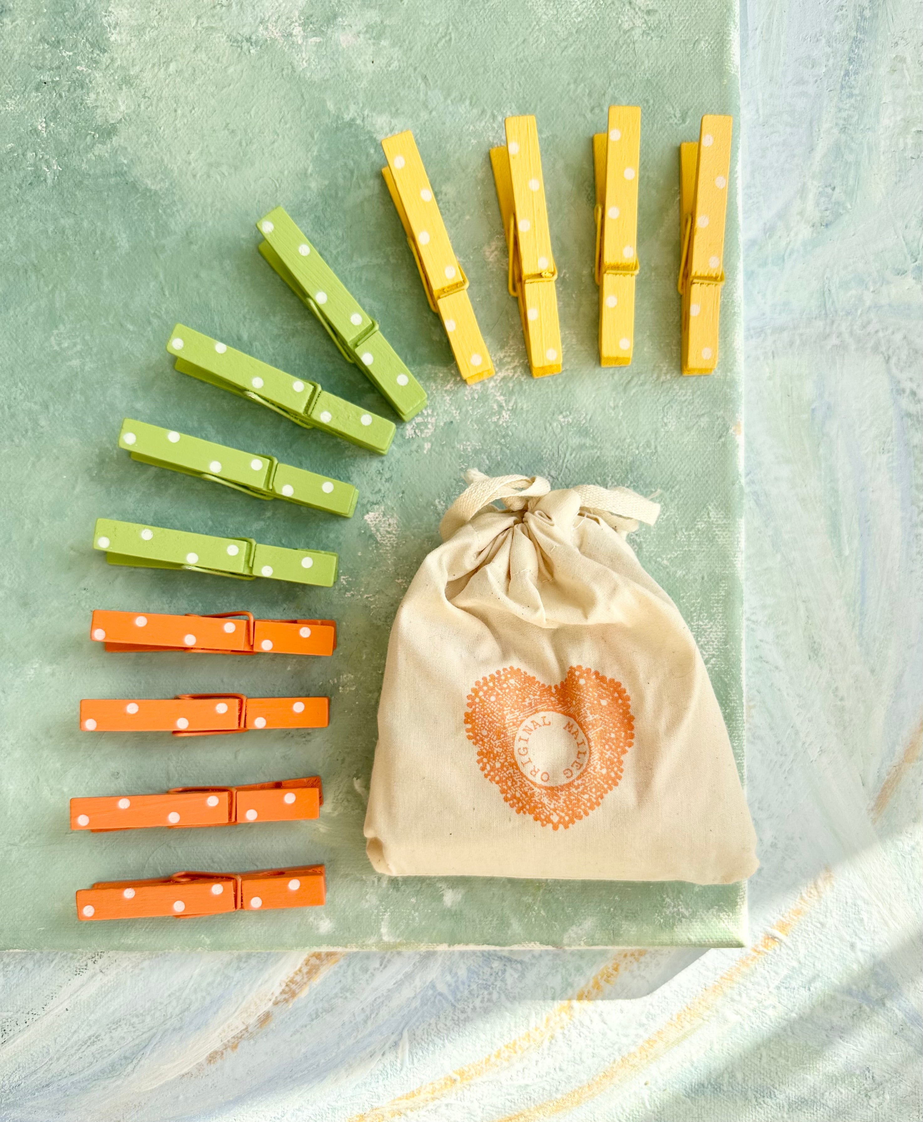 Spring Pegs in a Bag - 2012