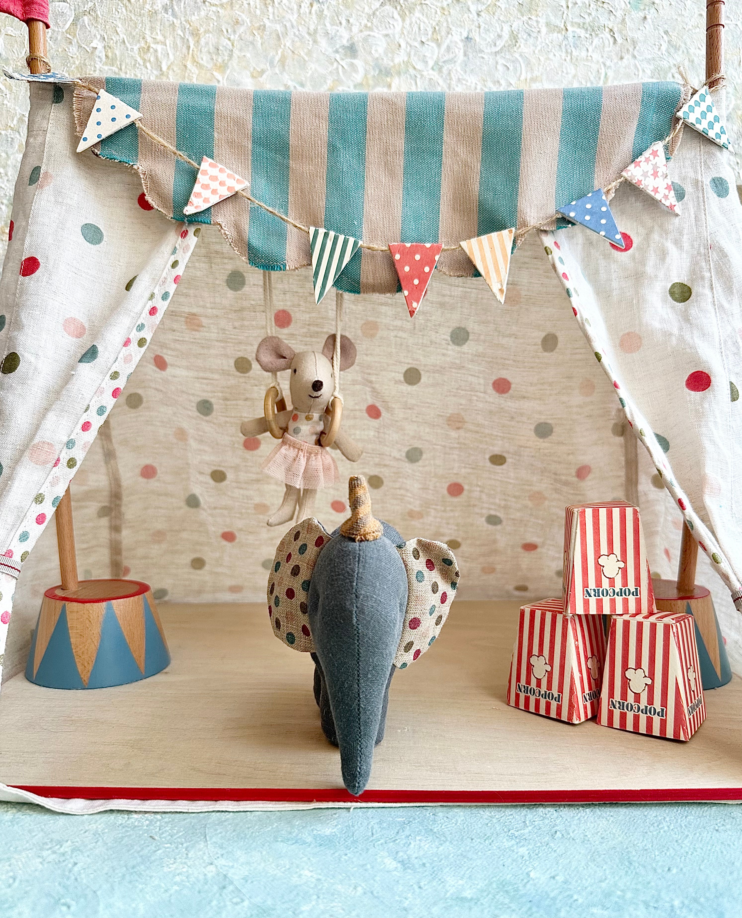 Circus Little Sister - 2017