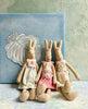 Small Bunny - 2009