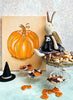 Set of Halloween Cookies