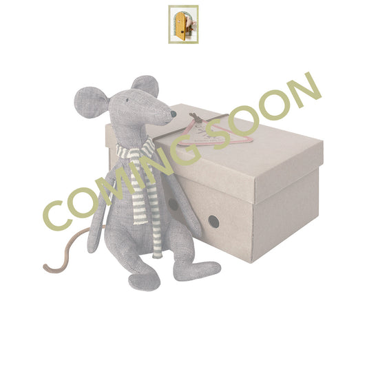 Cool Rat in Box - 2018