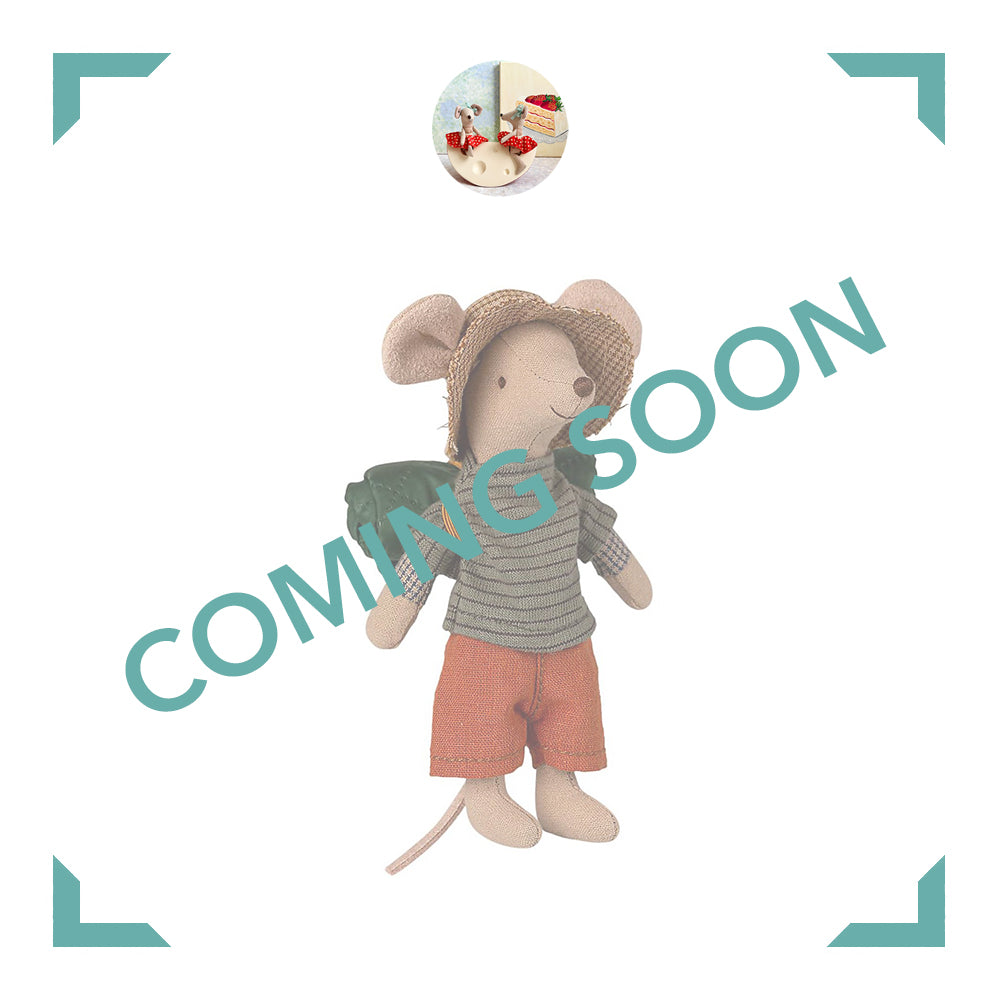 Big Brother Hiker Mouse - 2022