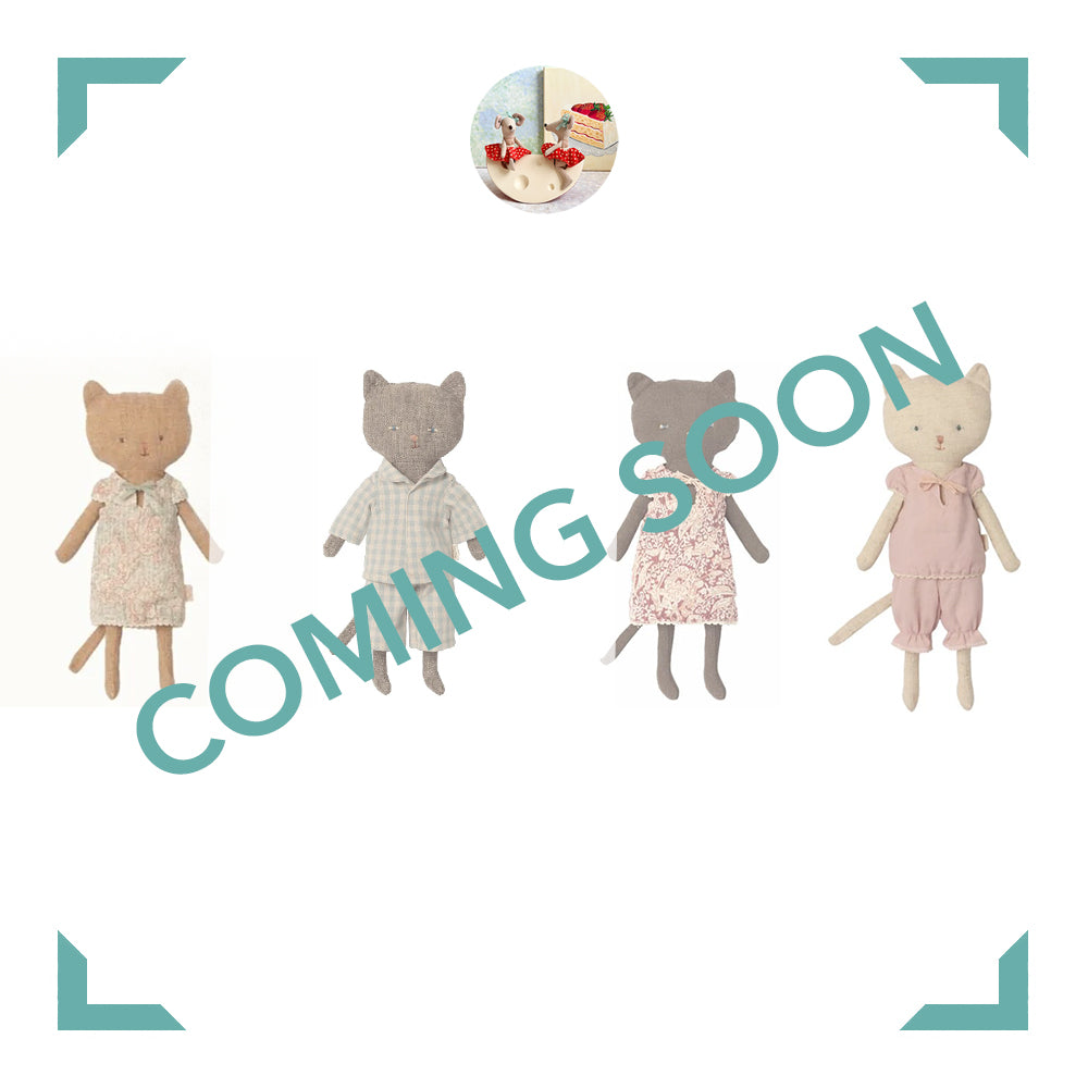 Chaton - 2022