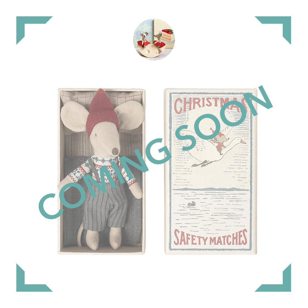 Christmas Big Brother in Matchbox - 2021