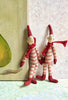 Micro Pixy - 2005