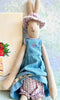 Medium Rabbit - 2008
