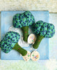 Broccoli Rattle - 2014