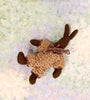 Newborn Baby Rabbit - 2012