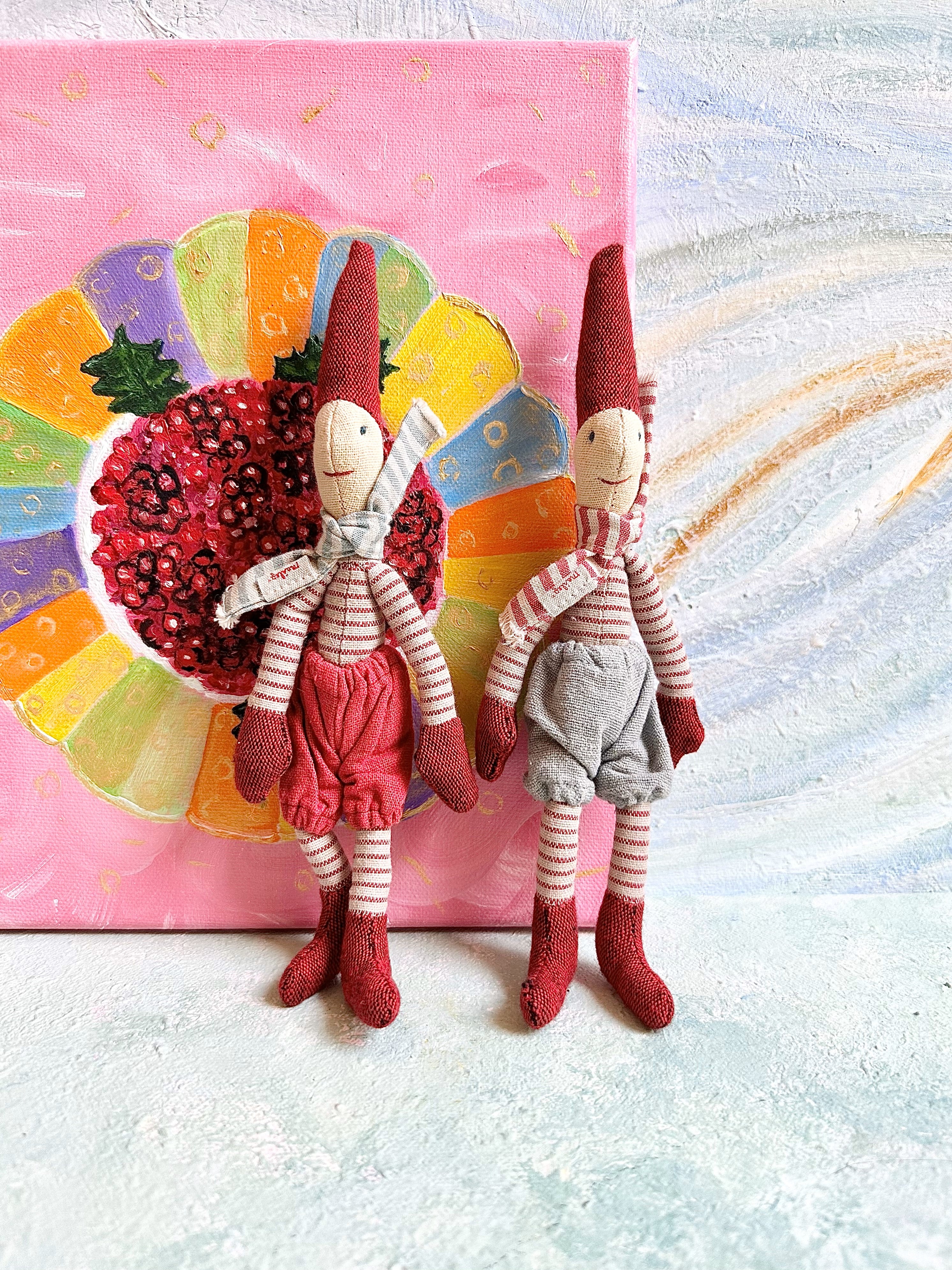 Climbing Micro Pixy - 2010