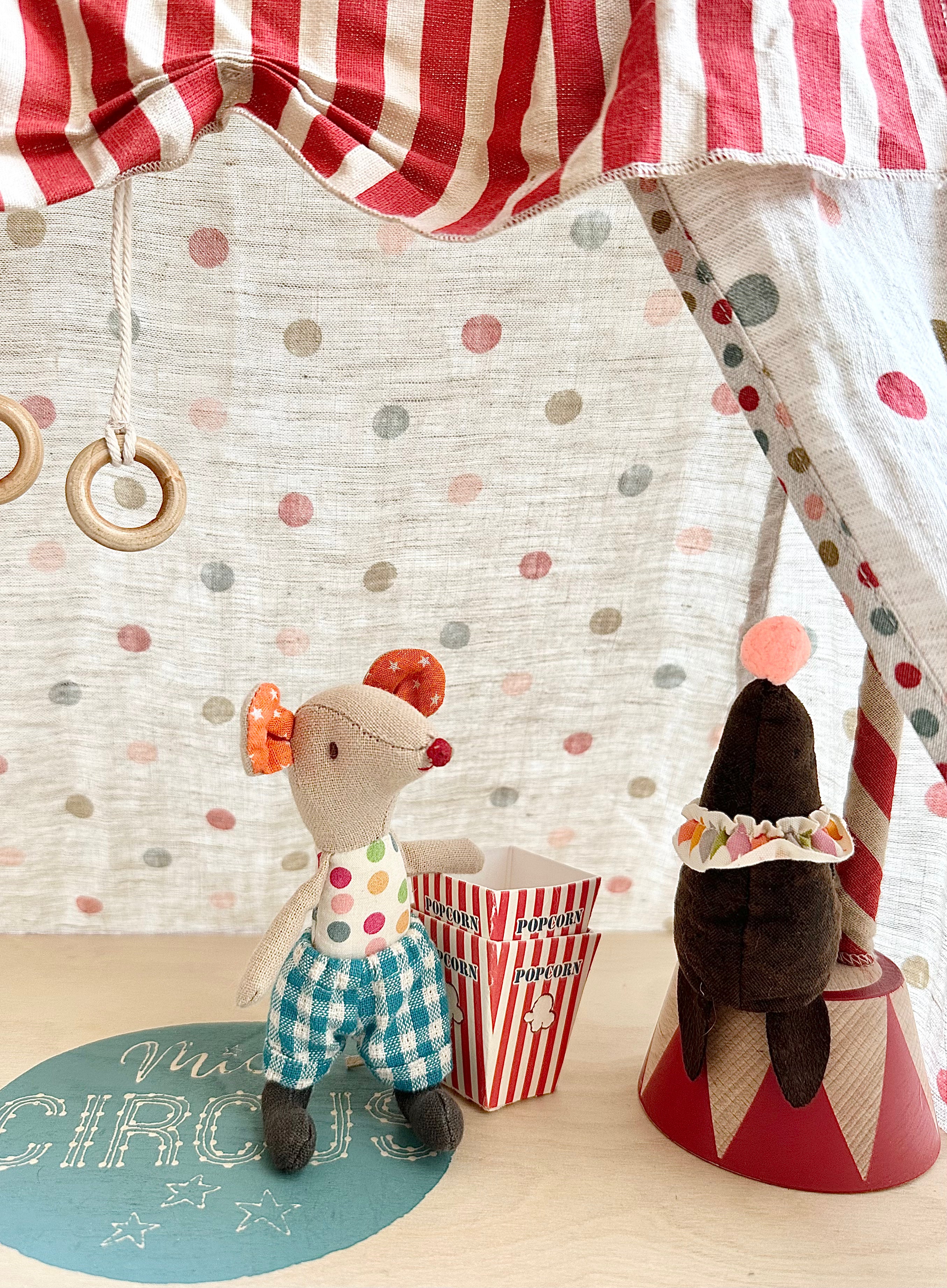 Circus Sea Lion - 2017