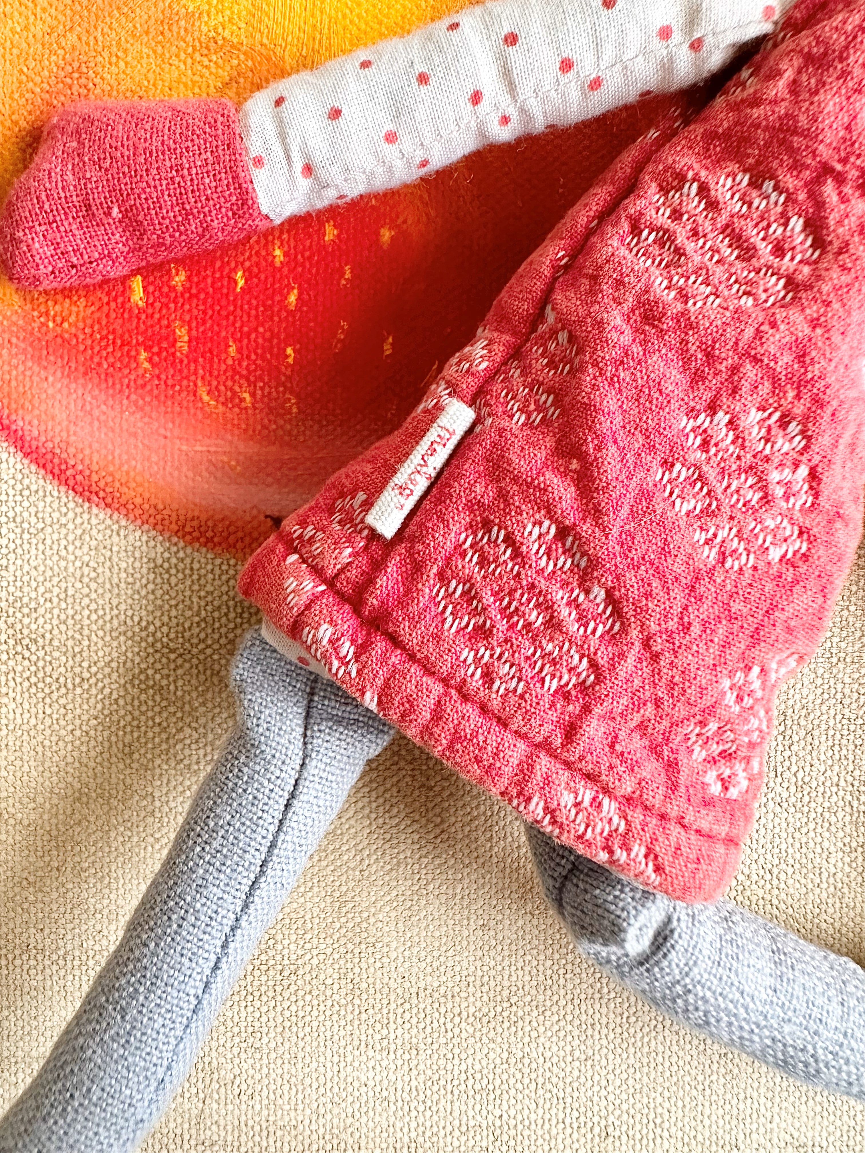 Climbing Mini Pixy - 2009