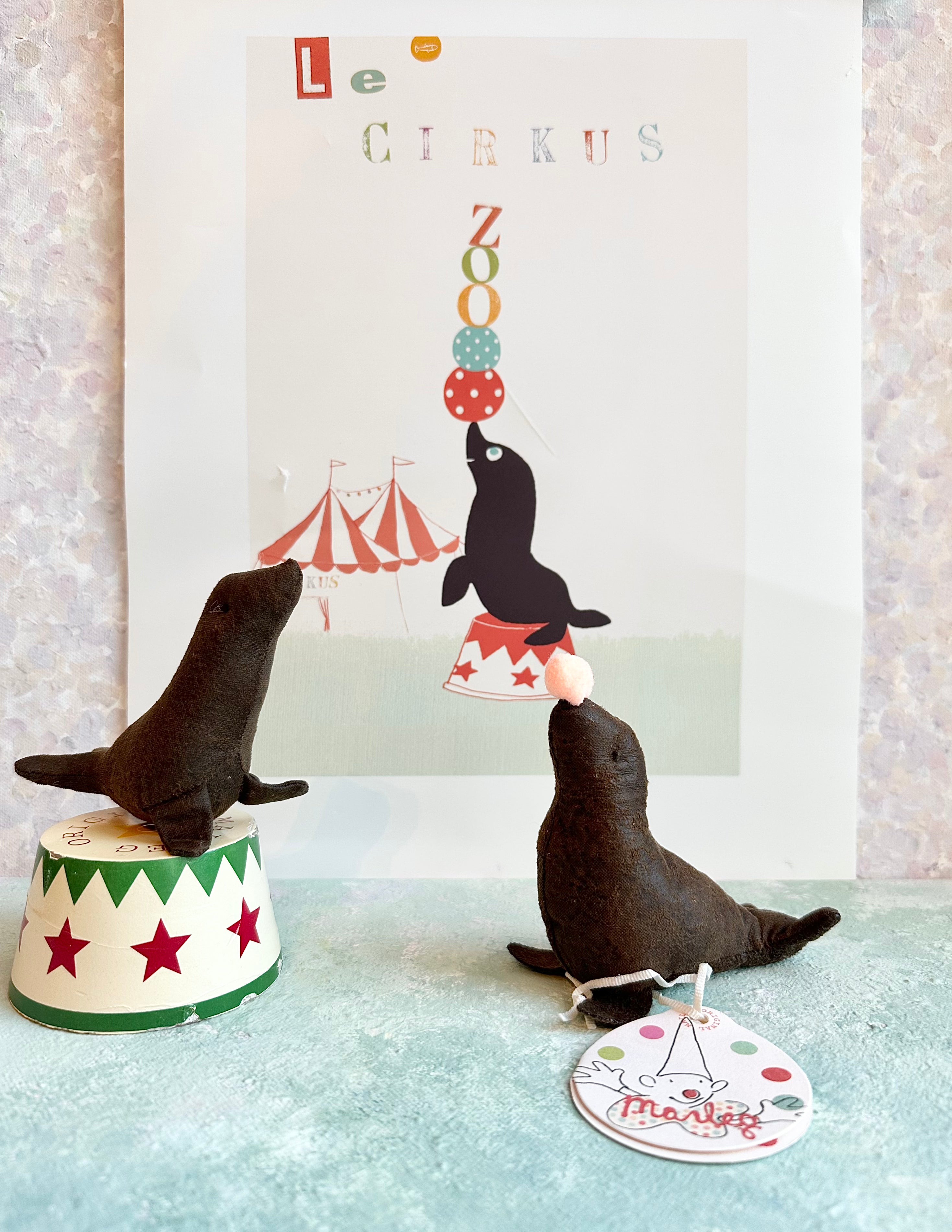 Circus Sea Lion - 2017