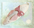 Small Pig - 2011