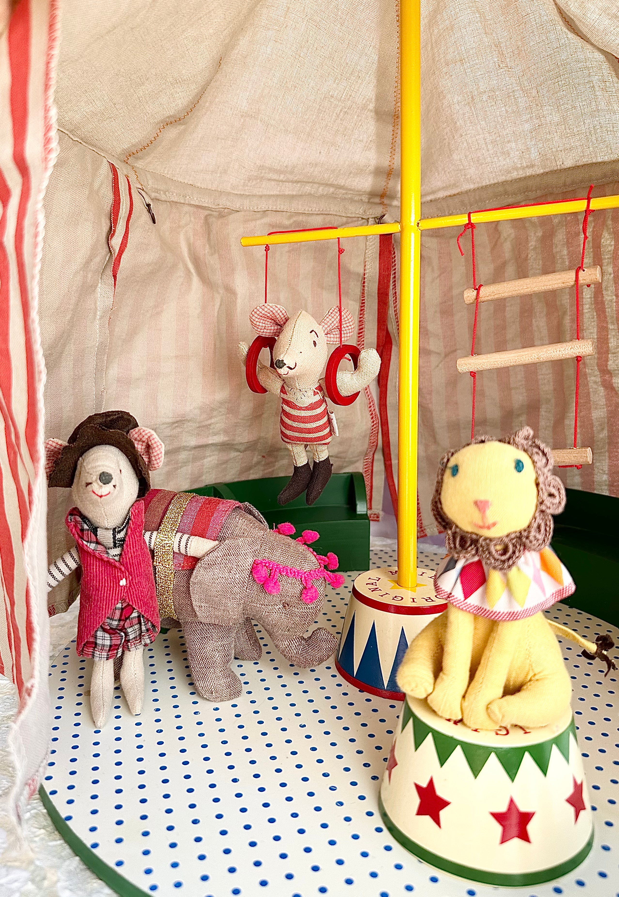 Circus Elephant - 2013