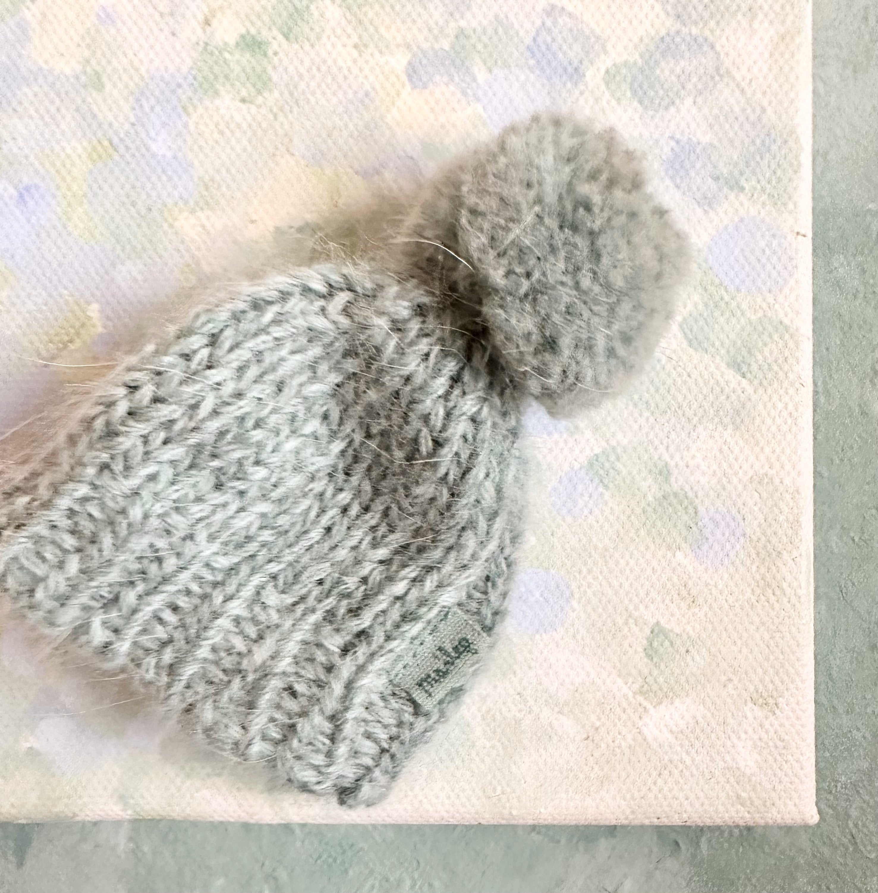 Best Friends Beanie - 2017