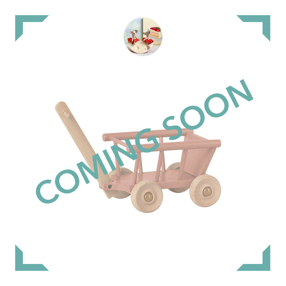 Micro Wagon - 2022