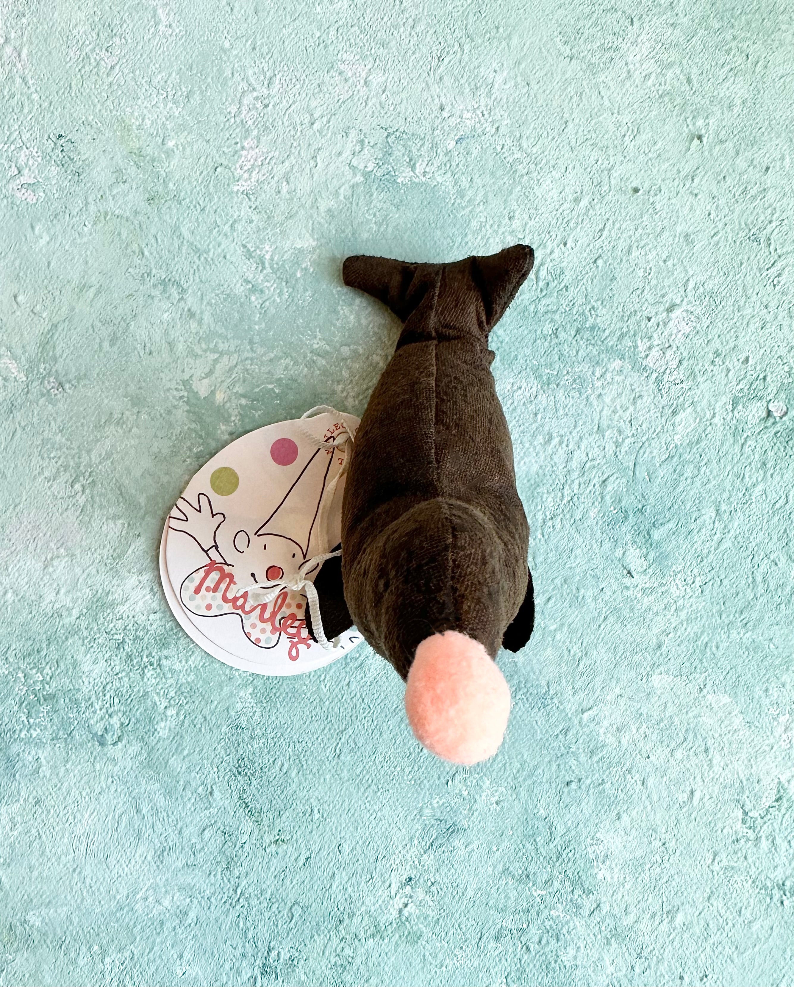 Circus Sea Lion - 2017