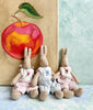 Baby Rabbit - 2009