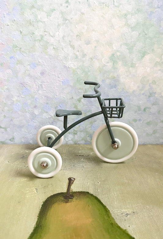 Mini Tricycle