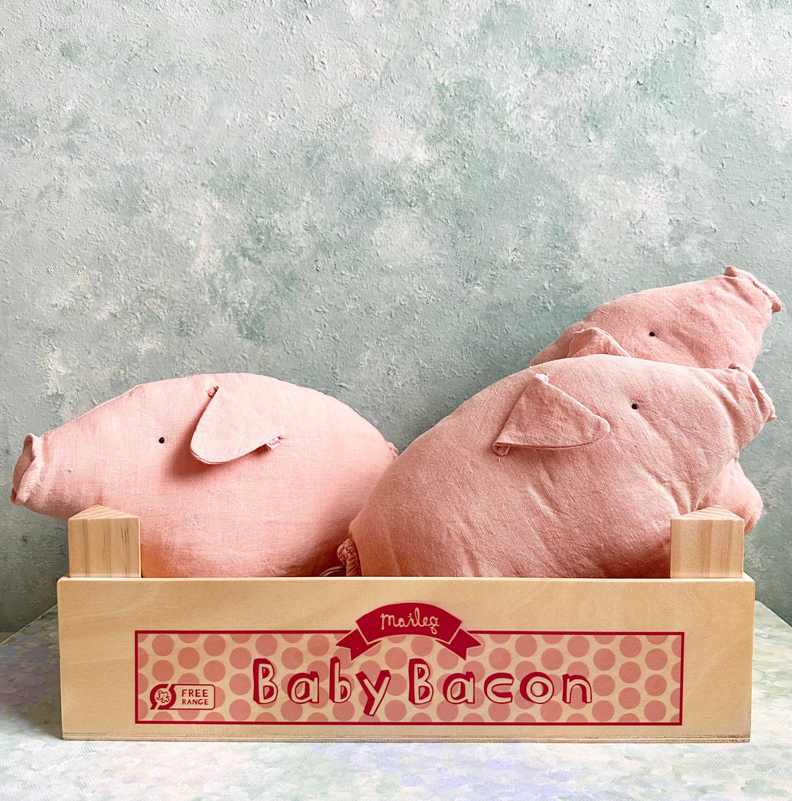 Baby Bacon in Box - 2016