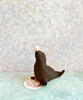 Circus Sea Lion - 2017