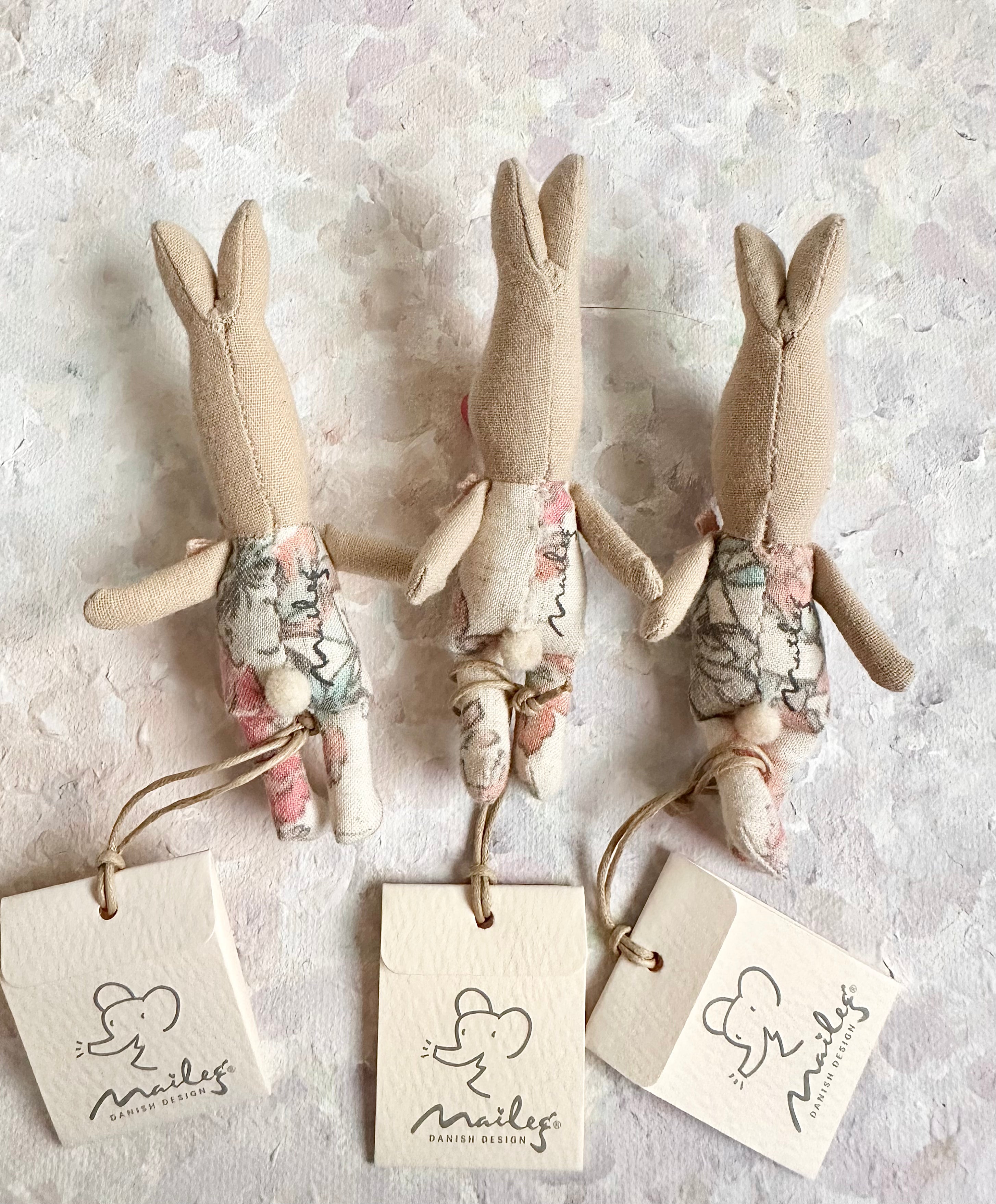 MY Baby Rabbit - 2015