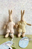 Baby Rabbit - 2010