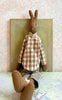 Medium Moscow Rabbit - 2010