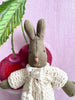 Baby Rabbit - 2010