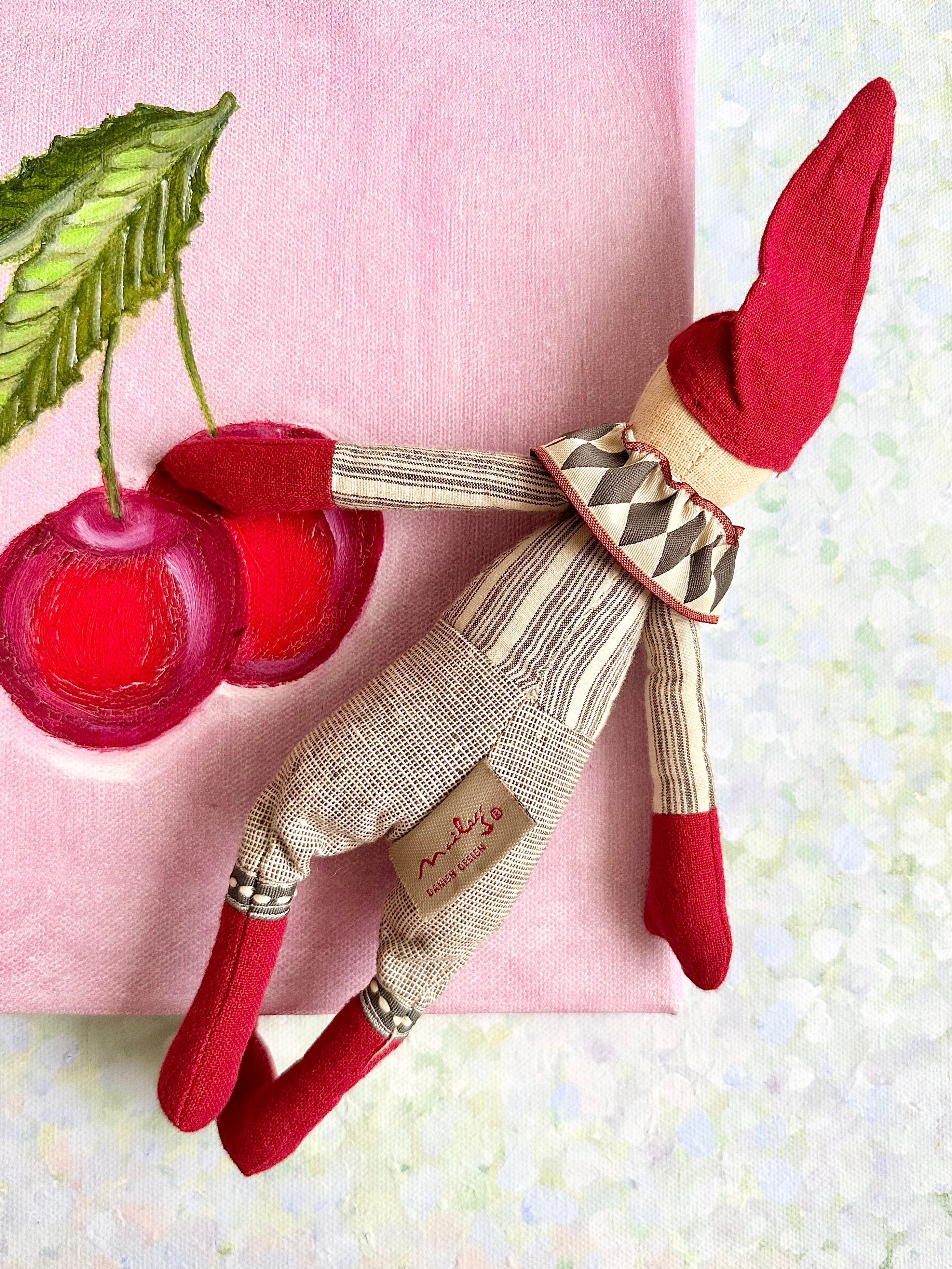 Climbing Mini Pixy - 2009