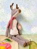 Reindeer Teen - 2017