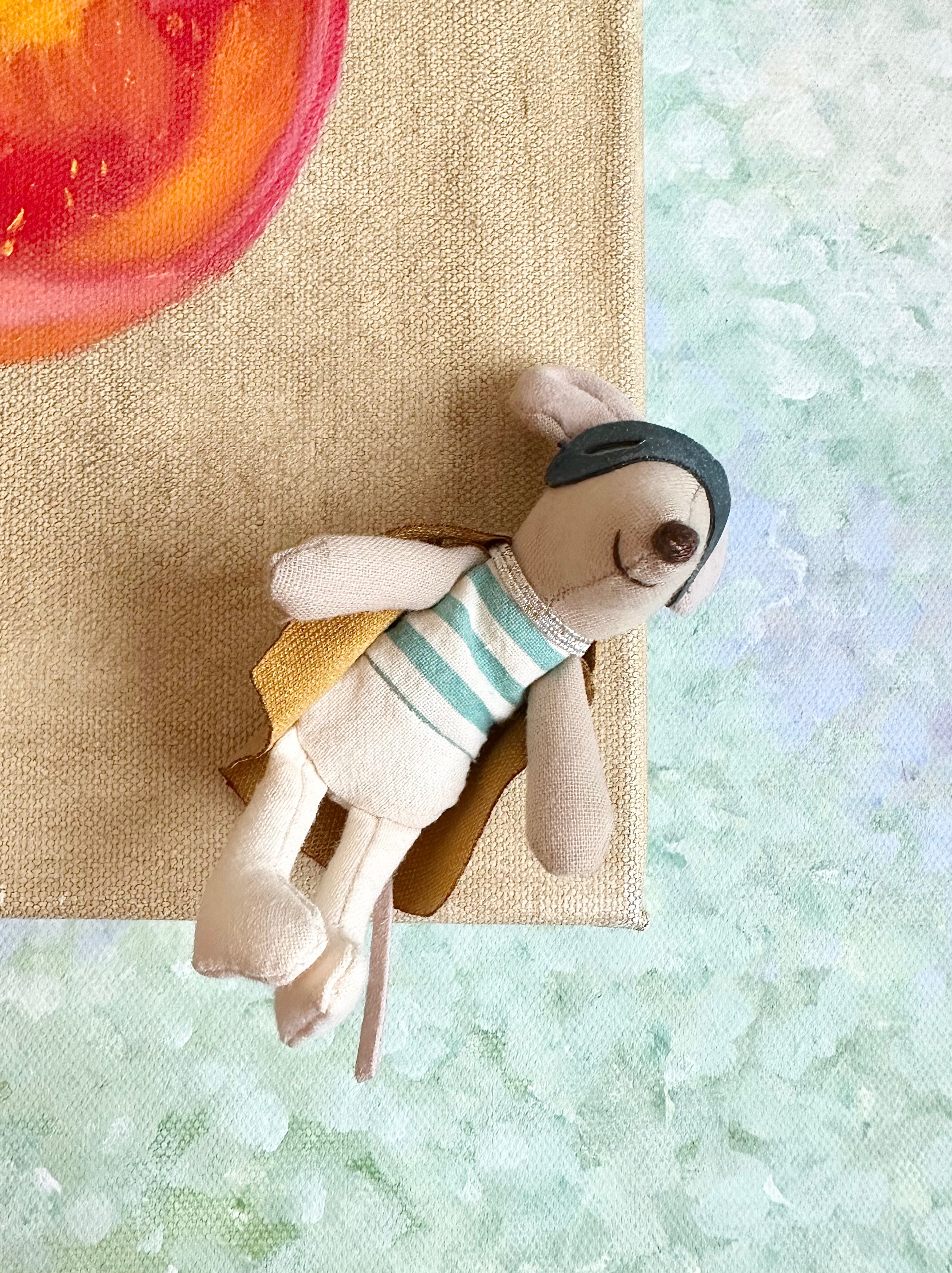 Super Hero in Suitcase - 2018