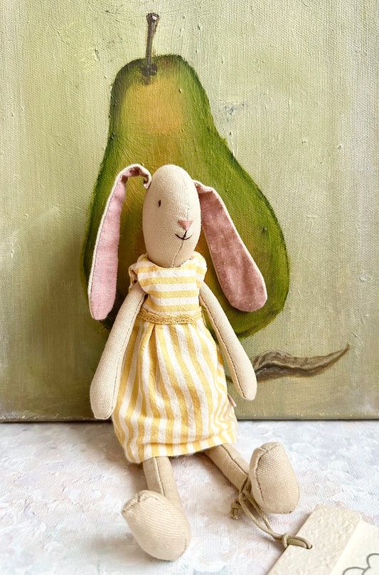 Mini Bunny Aya - 2018