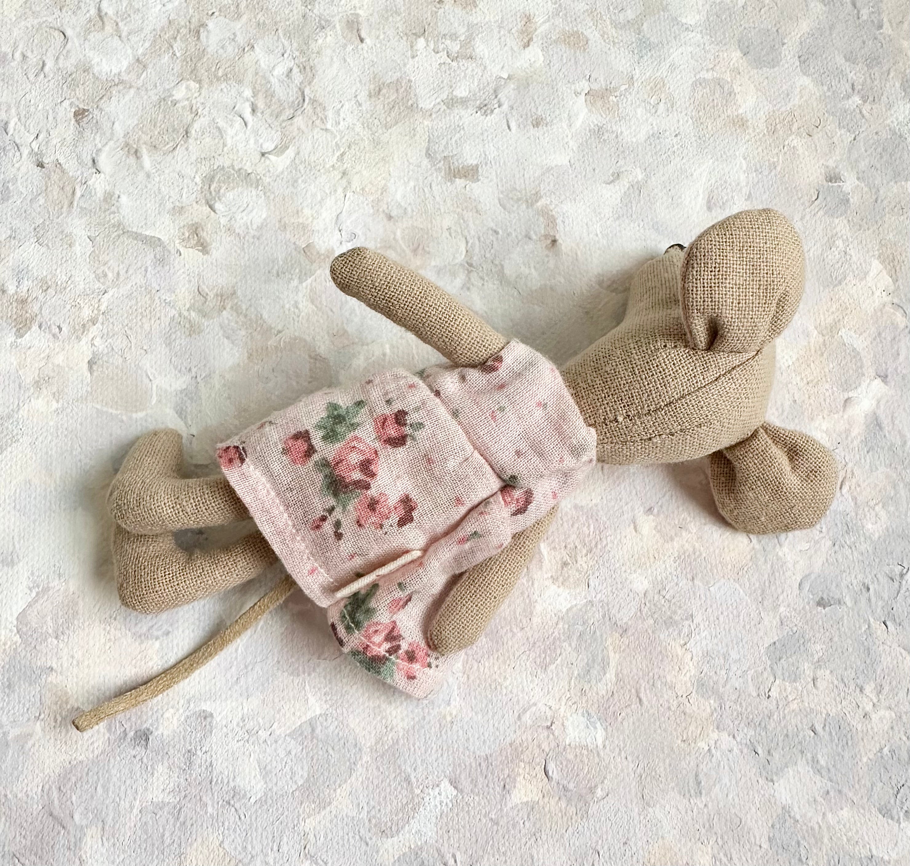 Mouse with Dress - 2012